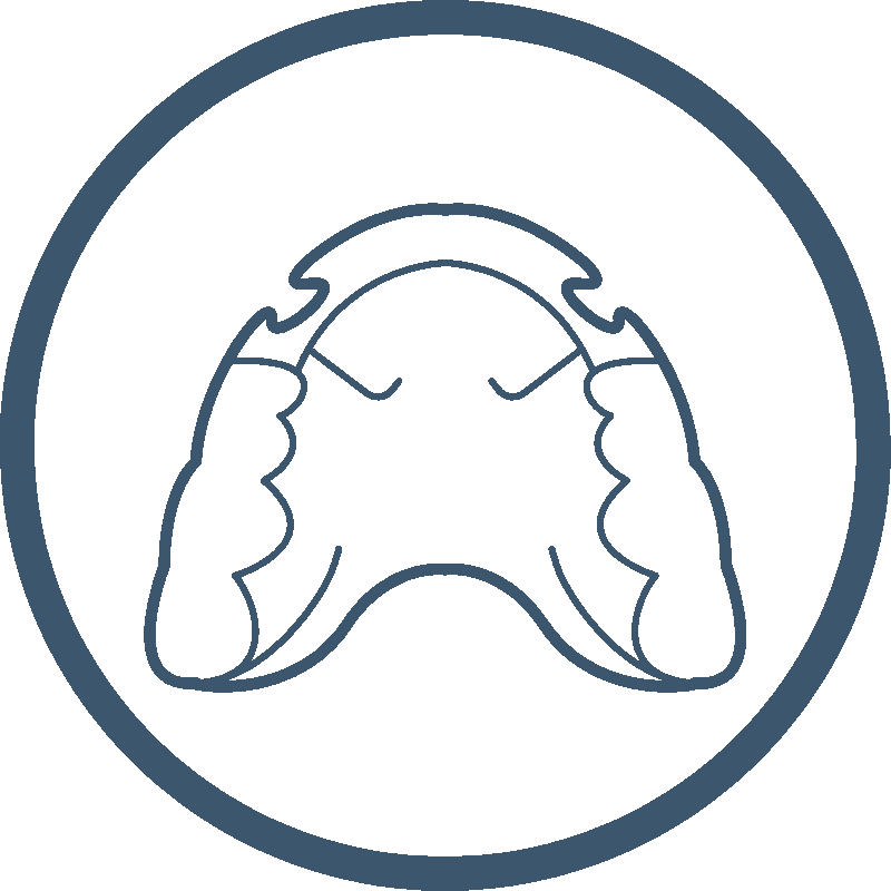 Teal line art of a dental retainer, representing post-treatment care that maintains a patient’s beautiful smile – Washington Orthodontics.