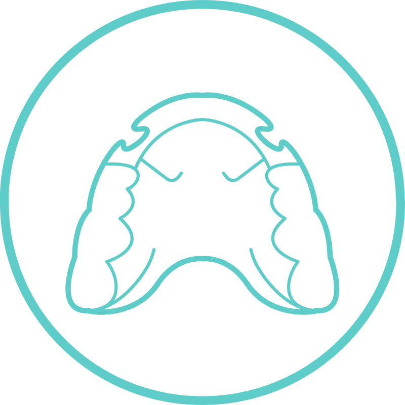 Teal line art of a dental retainer, representing post-treatment care that maintains a patient’s beautiful smile – Washington Orthodontics.