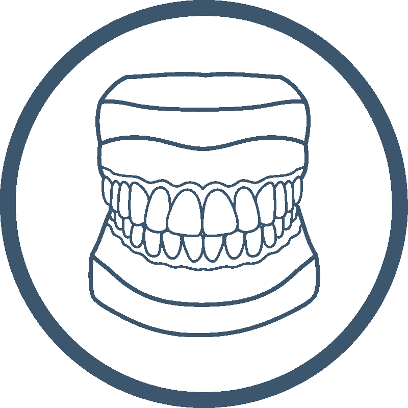 A teal line art illustration showing a detailed set of teeth and gums, symbolizing the precision and care in orthodontic treatments – Washington Orthodontics.