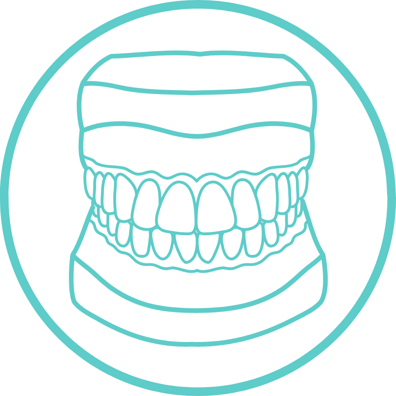 A teal line art illustration showing a detailed set of teeth and gums, symbolizing the precision and care in orthodontic treatments – Washington Orthodontics.